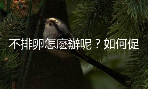 不排卵怎麽辦呢？如何促排卵呢？