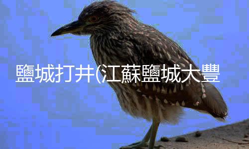 鹽城打井(江蘇鹽城大豐：“姑蘇翁”“抖”出精氣神)